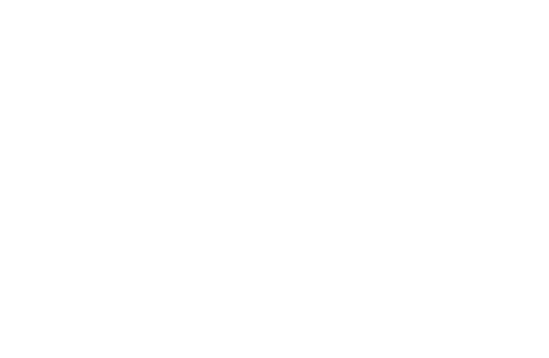 The Dent Barn — Auto Hail Repair